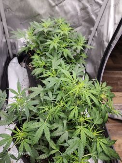 Review photo #3