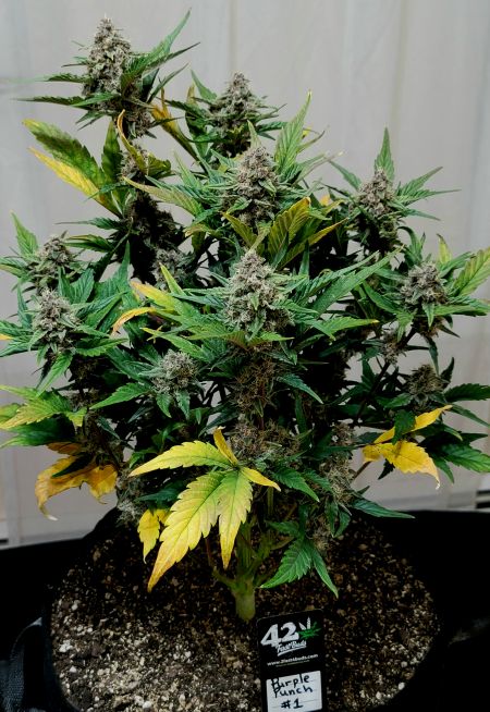 Review photo #9