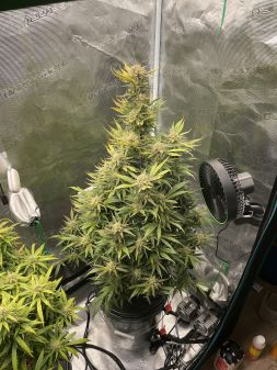 Review photo #2