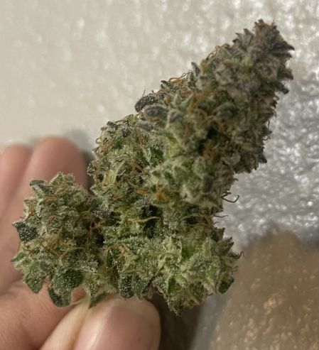 Review photo #3