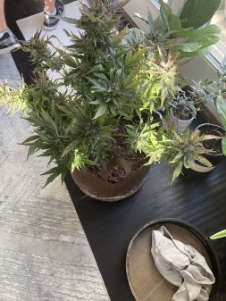 Review photo #5
