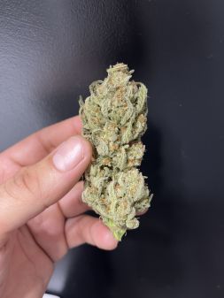 Review photo #2