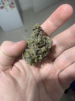 Review photo #2