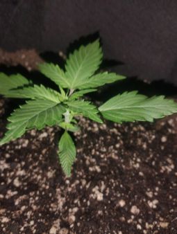 Review photo #2