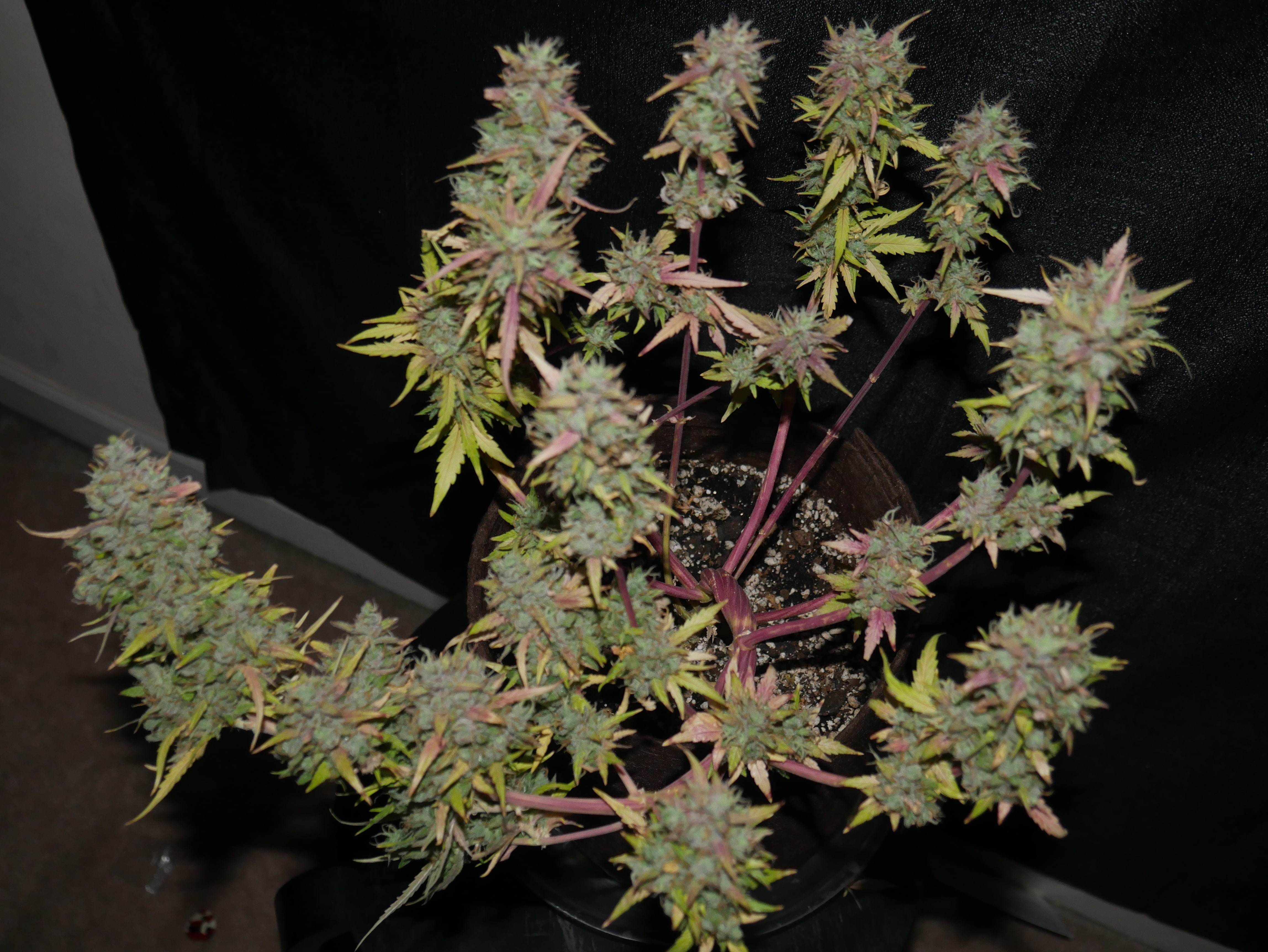 Review photo #2