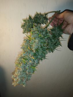 Review photo #2