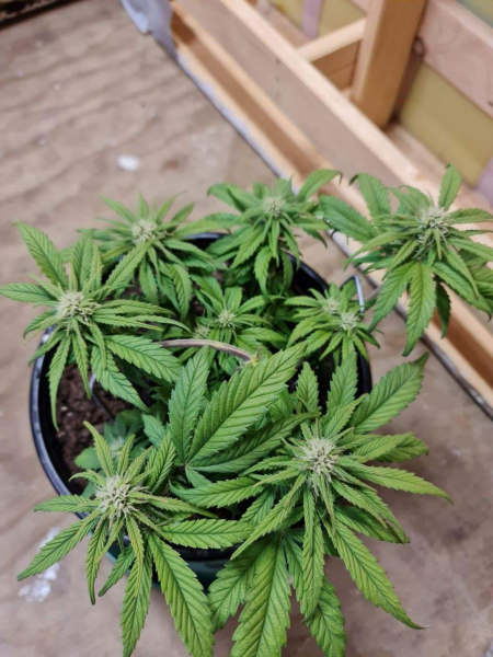 Review photo #3