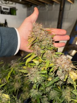 Review photo #5