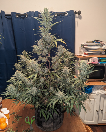 Review photo #2