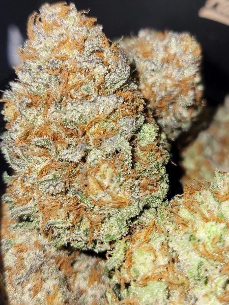 Review photo #5
