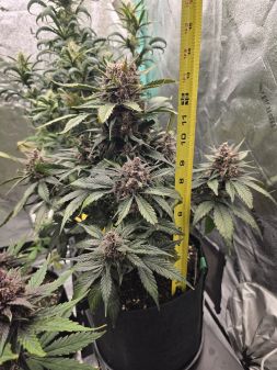 Review photo #2