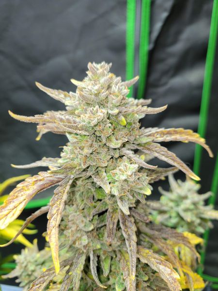 Review photo #6
