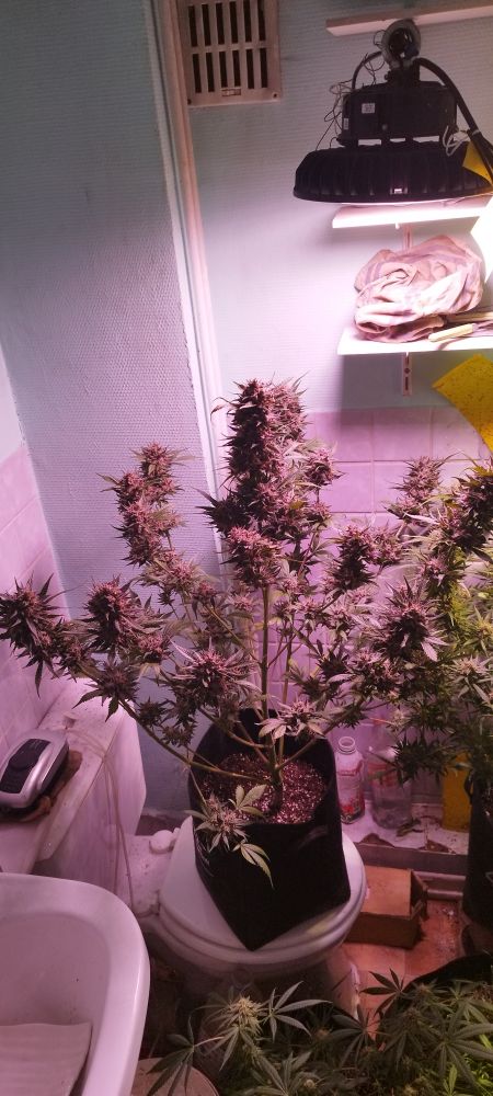 Review photo #3