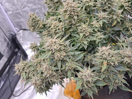 Review photo #4