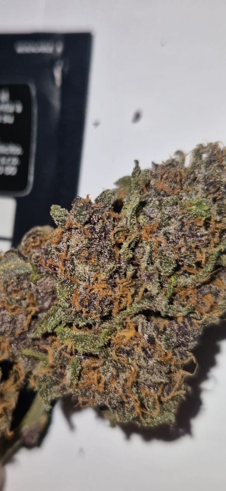 Review photo #9