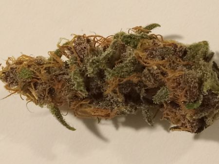 Review photo #1