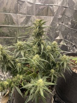 Review photo #2