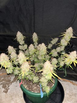 Review photo #5