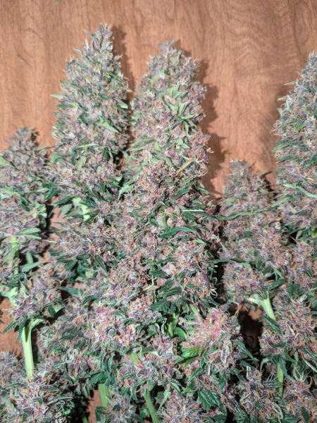 Review photo #6