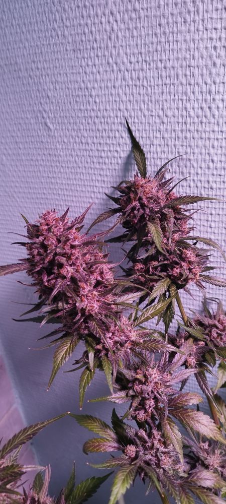 Review photo #1