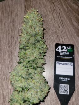 Review photo #1