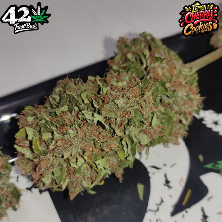 Review photo #6
