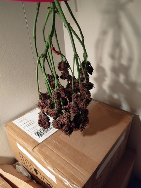 Review photo #4