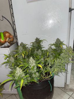 Review photo #2