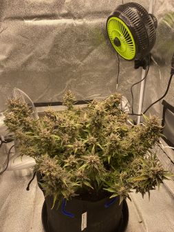 Review photo #4