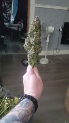Review photo #2