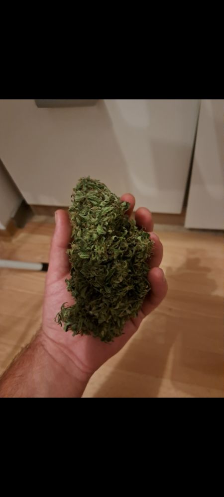 Review photo #2