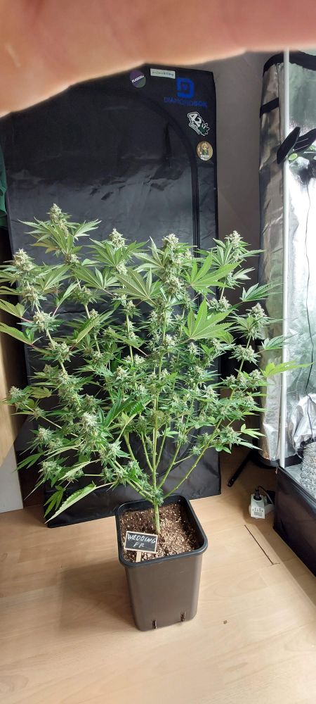 Review photo #5