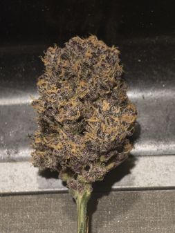 Review photo #5
