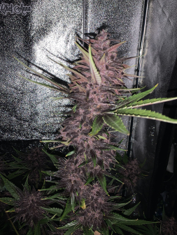 Review photo #2