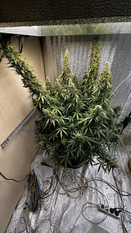 Review photo #6