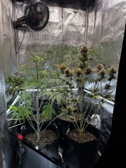 Review photo #3