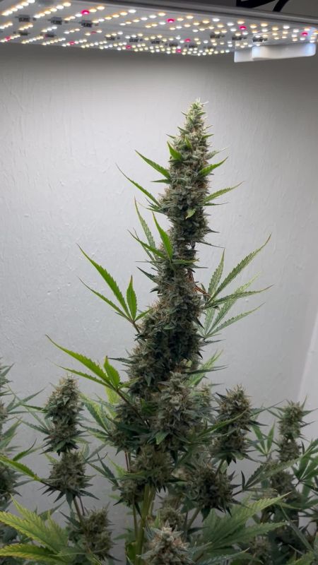 Review photo #2