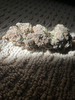 Review photo #1