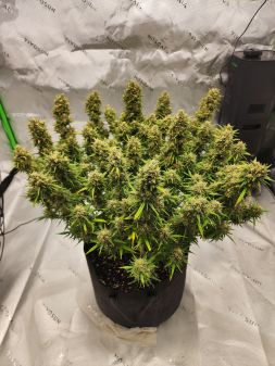 Review photo #2