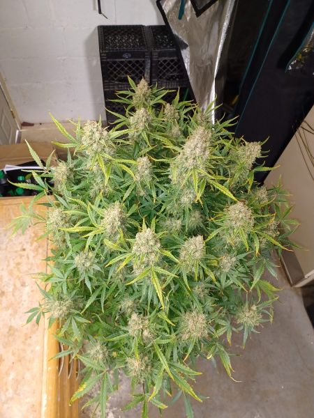 Review photo #7