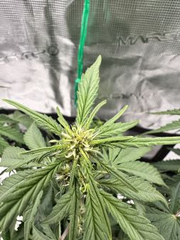 Review photo #12