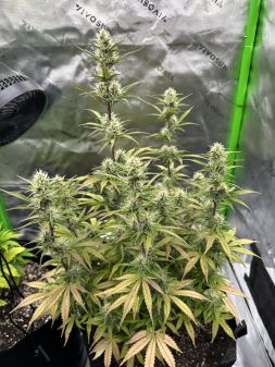 Review photo #2