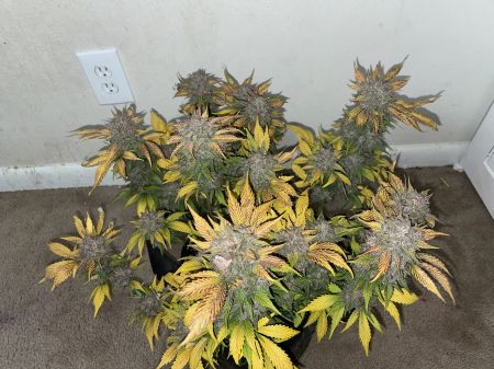 Review photo #7