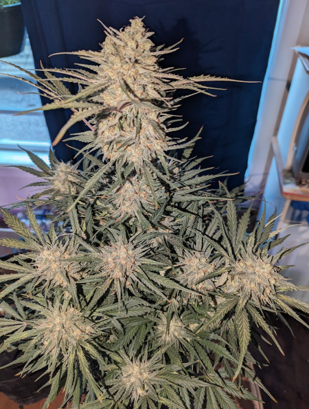 Review photo #3