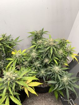 Review photo #3