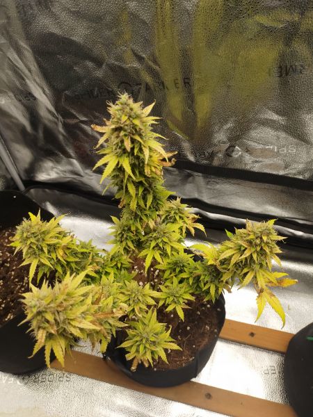 Review photo #3