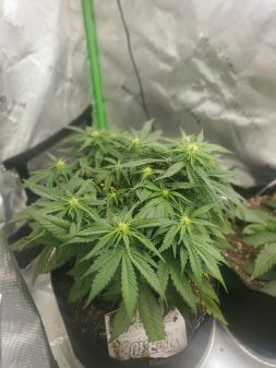 Review photo #1