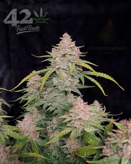 Review photo #5