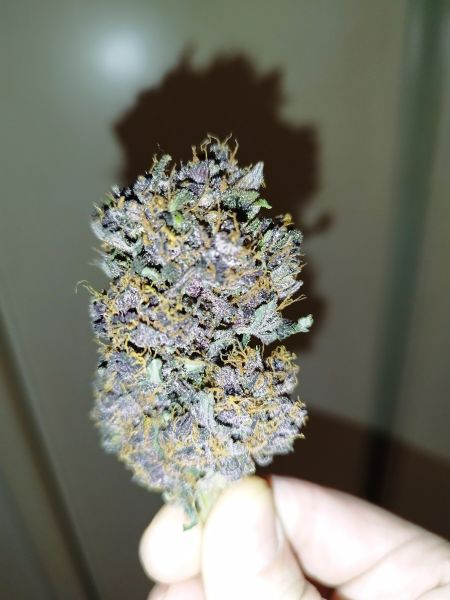 Review photo #1