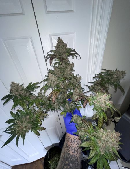Review photo #1